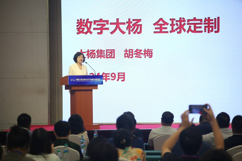 星空体育：向新而行 向新之旅 ——大杨集团2024大连国际服装博览会(图7)