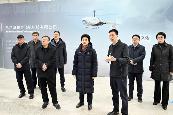 梁惠玲：深入学习贯彻全国两会精神 高质量推进产业项目建设(图2)