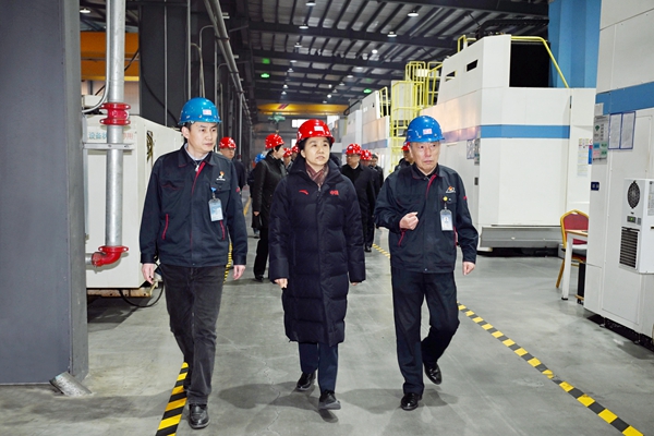 梁惠玲：深入学习贯彻全国两会精神 高质量推进产业项目建设(图3)