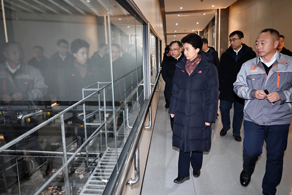 梁惠玲：深入学习贯彻全国两会精神 高质量推进产业项目建设(图4)