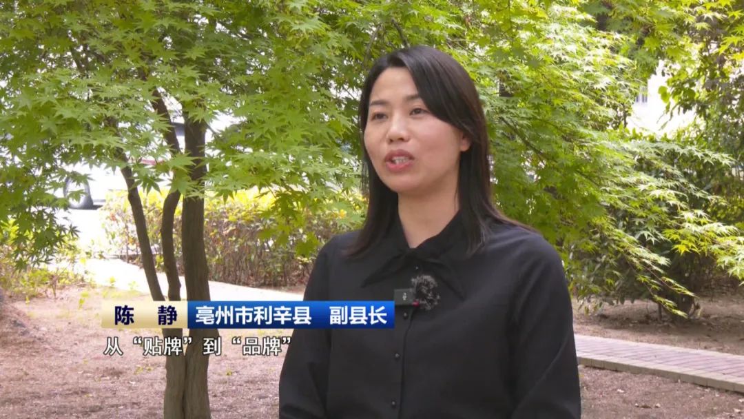 【县域特色产业集群】从一根纱到一件衣 皖北小城打造百亿级大产业(图15)