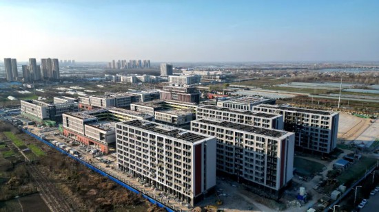 蚌埠淮上区：冲刺“开门红” 拼出“满堂彩”(图7)
