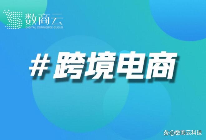 破局与重构：2025年跨境电商定制化增长如何重塑全球贸易新范式(图1)