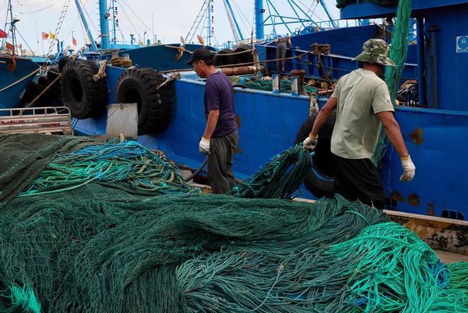 星空体育平台:声势浩大的开渔节传统味道足泉州八百年渔港已悄悄变样(图1)