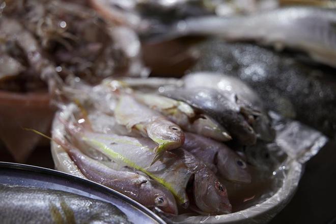 星空体育平台:声势浩大的开渔节传统味道足泉州八百年渔港已悄悄变样(图3)