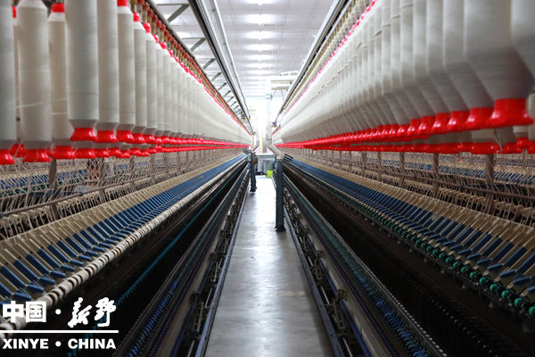 新野县召开“十四五”发展成就巡礼系列主题新闻发布会(工信局专场)(图4)