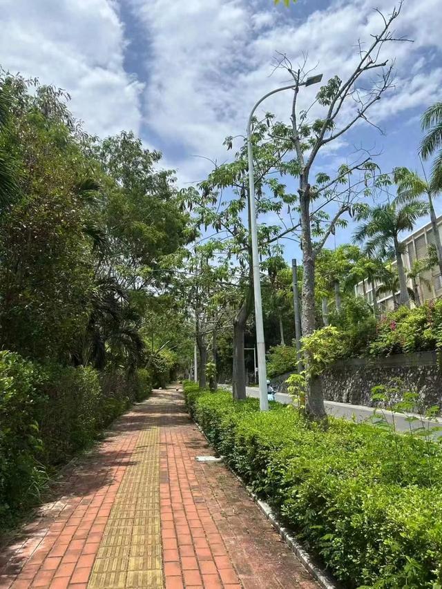 星空体育平台：三亚游客被咬伤致死家属最新发声(图1)