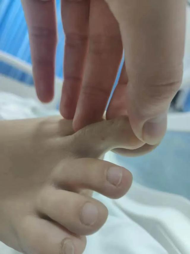 星空体育平台：三亚游客被咬伤致死家属最新发声(图3)