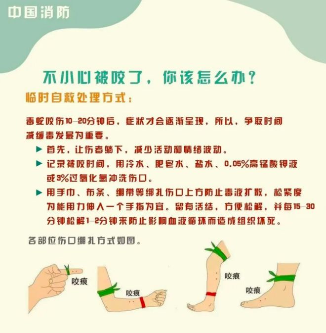 星空体育：“三亚旅游被不明物咬伤身亡27岁女子”死亡记录：曾诊断为不明生物咬伤(神经毒蛇) 等(图6)