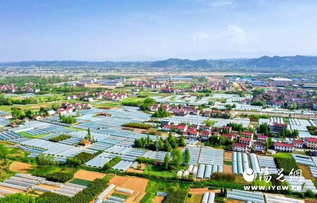 星空体育平台:汉台:多措并举推动高质量发展成效显著(图3)