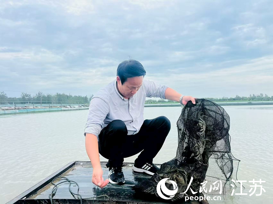 江苏泗洪：全民创业激活县域经济(图1)