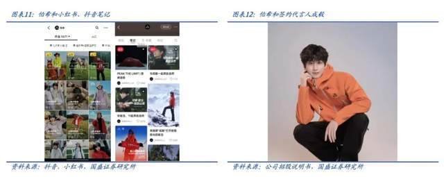 伯希和IPO来自“网红店”的双重困境(图1)