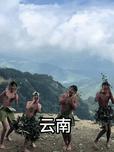 云南人如何统治短视频？(图1)