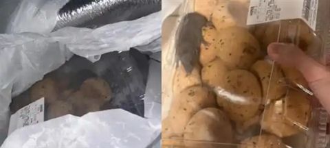 蓝战非回应遭绑架:被剥光衣服拍裸照、收集生物信息不是自导自演;H200芯片获准出口中国美国抽成25%;曝小米高层多人职务调整(图2)