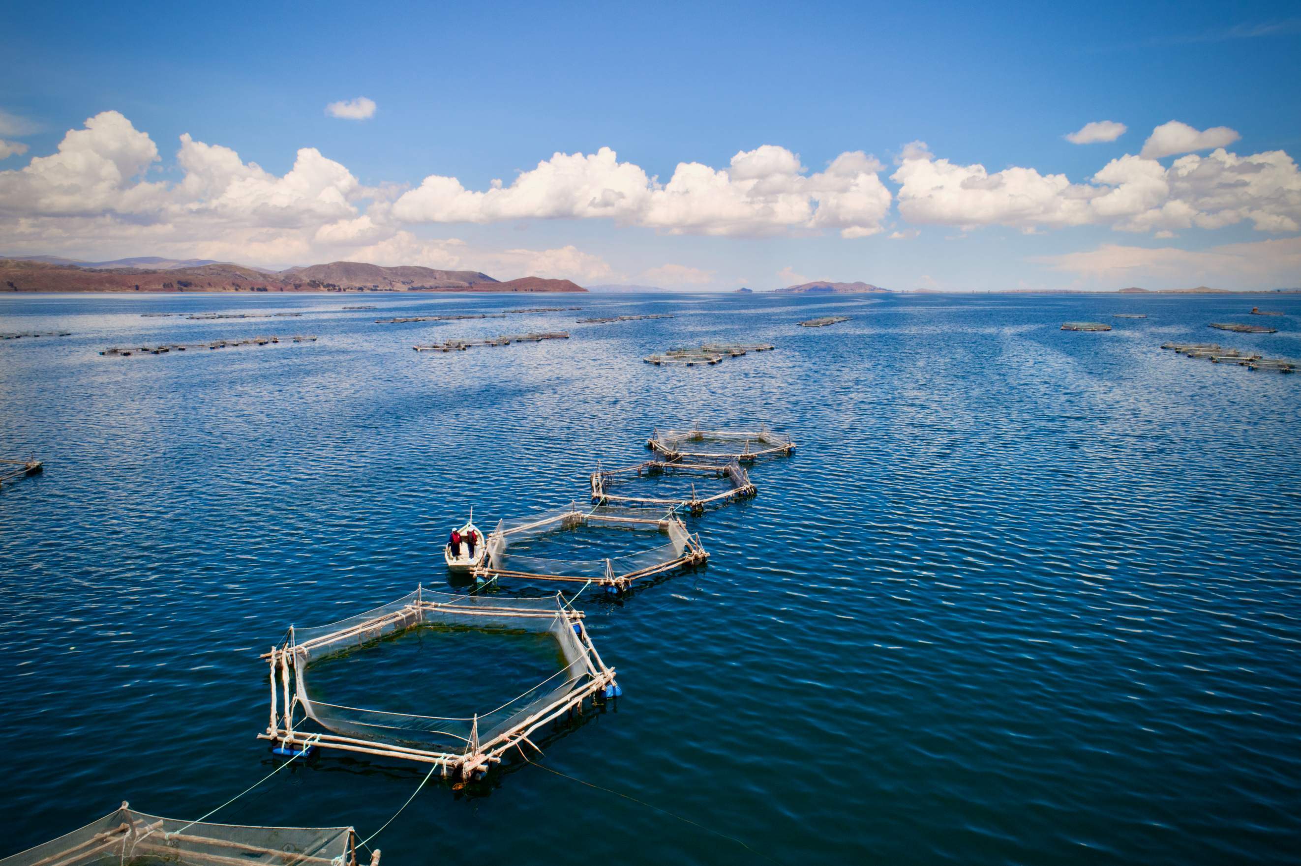 锁定下一个万亿级产业杭州争创人工智能创新发展第一城