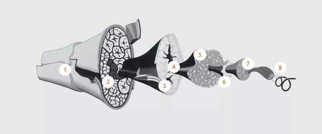 星空体育：中产智商税又割一波？(图9)