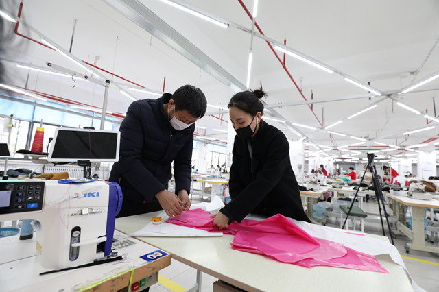 “老树”也能发“新芽”(在现场)