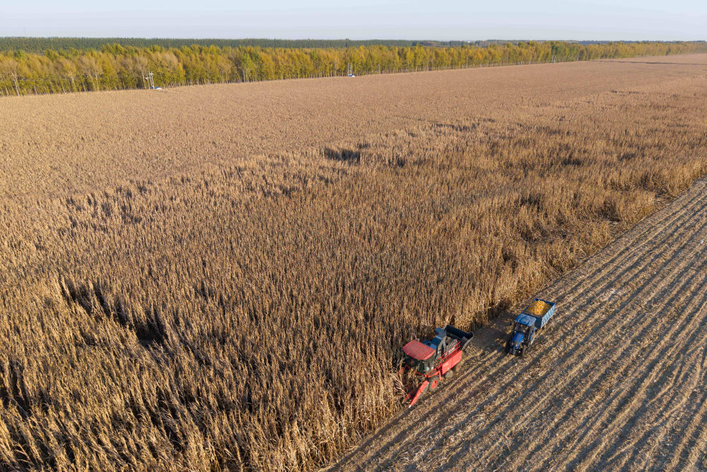 星空体育平台：镜观中国｜影像回眸“十四五”——全面深化改革 扩大高水平开放(图10)