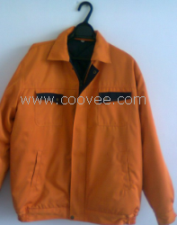 春节买新衣不只给自己也给宠物