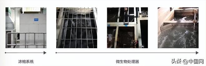 星空体育:爱普生2025年度可持续发展报告 解码品牌全生命周期绿色实践(图7)