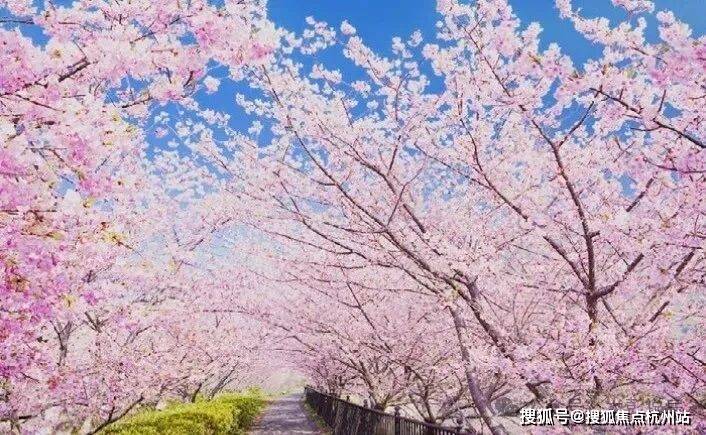 锦绣雅著花苑(官方售楼处电话)官方首页-锦绣雅著花苑销售中心-楼盘详情-环境-户型-价格-地址-配套-电话-交房时间配套全解析(图15)