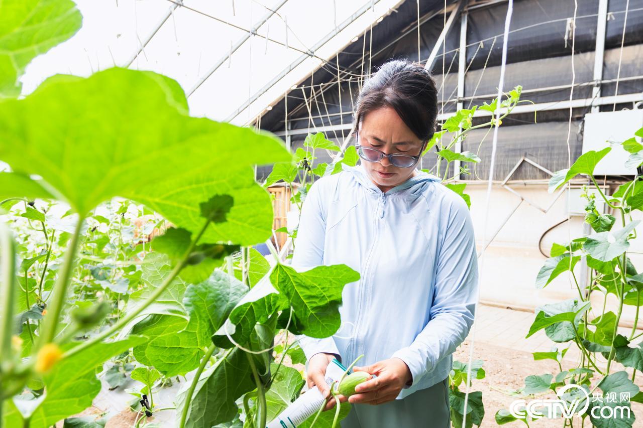 聚焦闽宁协作三十年㉗︱架桥山海间农行宁夏分行以金融之力书写“山海情”时代答卷(图5)